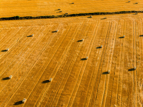 Aerial view of rolled straw bales resting on dry farmland during summer harvest, golden sunlight highlighting tyre tracks and field boundaries in rural landscape
