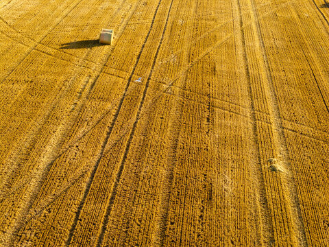 Solitary round hay bale resting on golden stubble field in warm evening light, gull flying across parallel tractor tracks, agricultural landscape in Wales