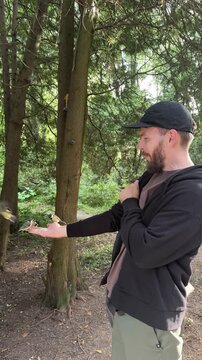 A man is feeding little titmice from his hand. The birds are eating seeds in the park