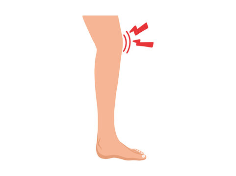 Leg and Knee Pain or Joint Pain