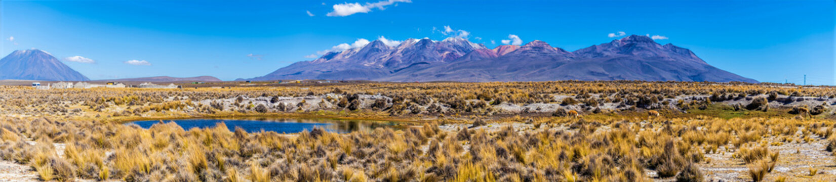 A panoramic view of high Andean tundra landscape showing the Puna grassland ecoregion of the Andes Mountains  in southern Peru in the dry season