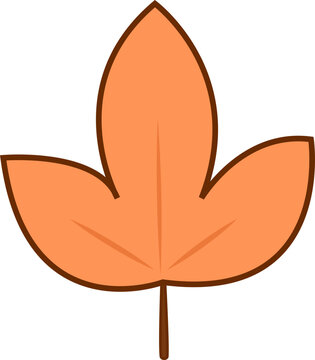 사마각 나뭇잎