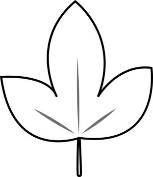 삼각 나뭇잎(선)