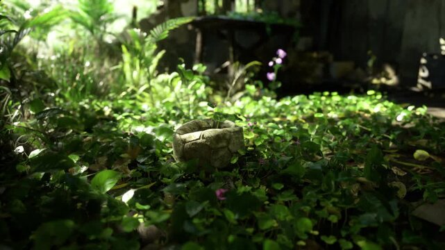 Calm and muted natural environment featuring tiny purple flowers. Tranquil woodland floor characterized by delicate violet blossoms and gentle shadows