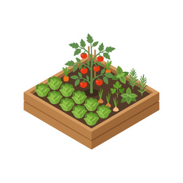 Wooden raised garden bed with fresh vegetables and herbs.