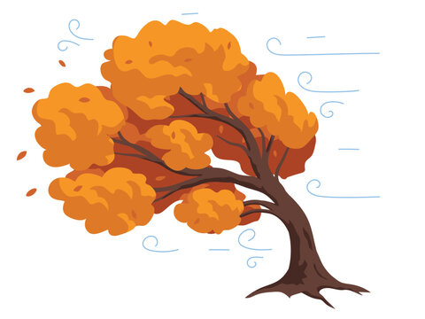 Tree swayed in the wind, trees bending in strong winds, leaves fall