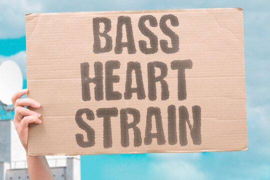 "Bass heart strain" Loud bass frequencies cause cardiovascular strain heart risk. LOUD. BASS. FREQUENCIES. CAUSE. CARDIOVASCULAR.