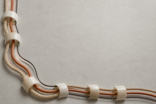 Three Material Cords Form a Lineage Border With Copy Space