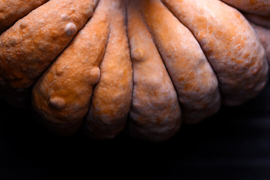 Macro view of ornamental pumpkins with rich texture and natural earthy colors. Seasonal autumn background with squash and harvest detail aesthetic
