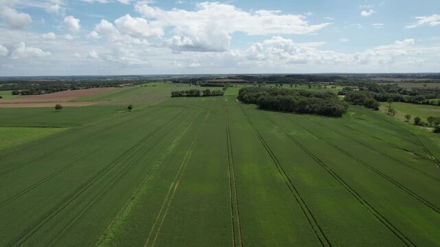 Aerial of vast green crop fields with tractor tracks under blue sky