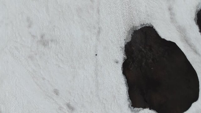 An aerial top-down drone shot pushes over a lone hiker traversing a vast, rugged snowfield on the famous Laugavegur trail in Iceland, highlighting adventure and remote exploration.