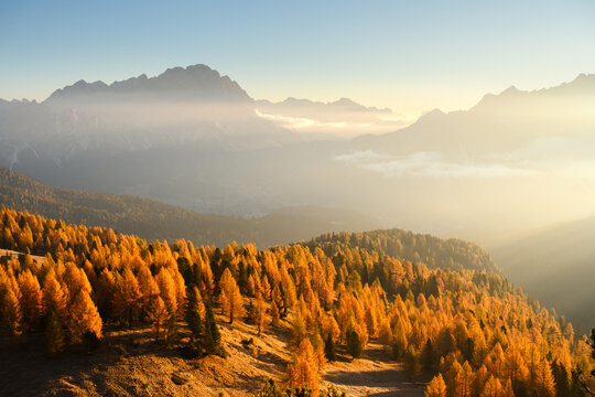 Autumn larch forest covers rolling mountain slopes beneath layers of mist and distant peaks. Scenic Dolomite landscape illuminated by soft morning light