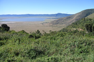 Bäume am Hang des Ngorongoro Krater © Jürgen Reitz