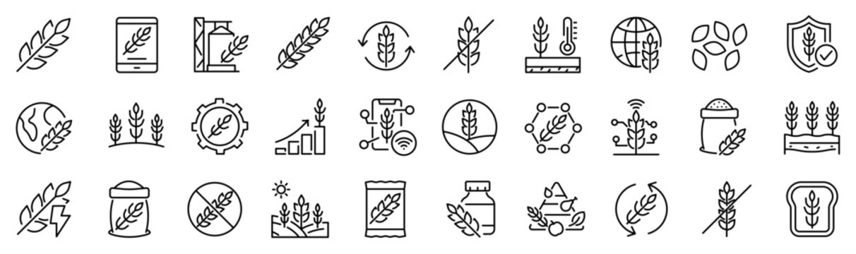 Set of 30 outline icons related to grain. Linear icon collection. Editable stroke. Vector illustration