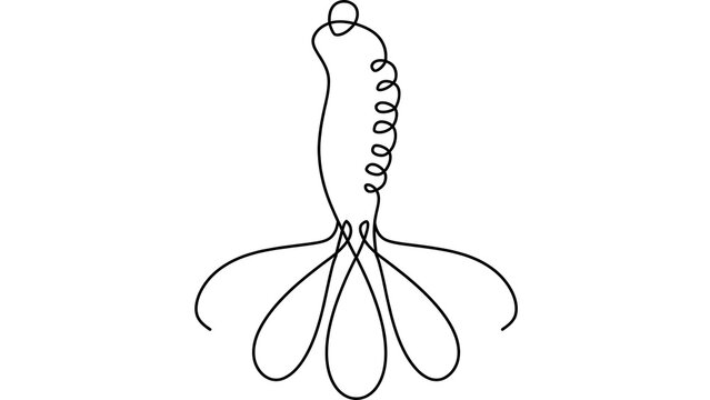 Minimalist paramecium illustration white background.
