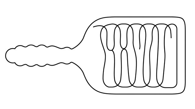 Mitochondria diagram illustration white background.