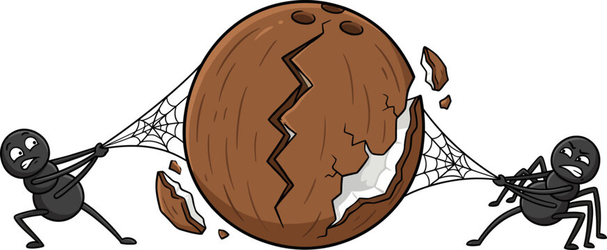 Two spooky black spiders pulling apart a large chocolate cookie in this fun and creative halloween themed cartoon illustration design