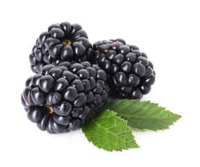 Many ripe blackberries and leaves isolated on white © New Africa