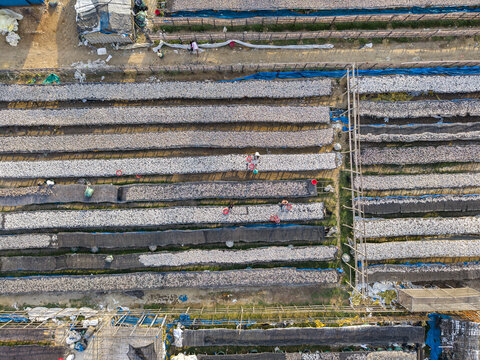 Aerial view of Bakalia fish drying racks with workers tending to rows of drying fish in the sun in Chattogram, Chittagong Division, Bangladesh.