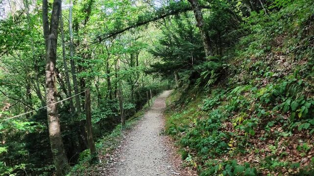 Walking in the beech forest of Val di Ranco - Umbria - Italy