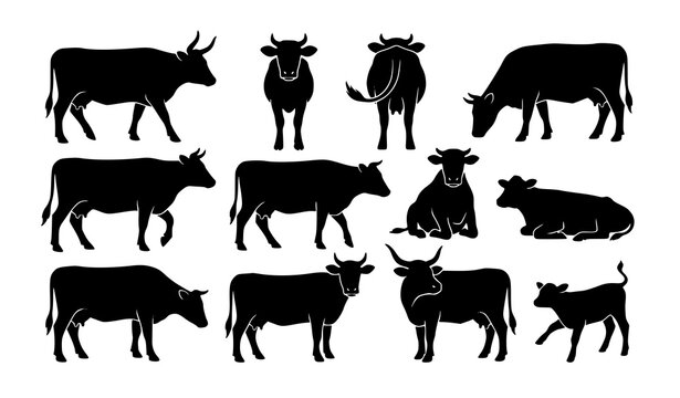 Minimal cow silhouette icon collection with diverse livestock poses for farm and agriculture design