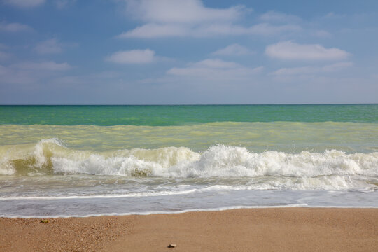 Breaking Wave on a Shallow Sandy Beach