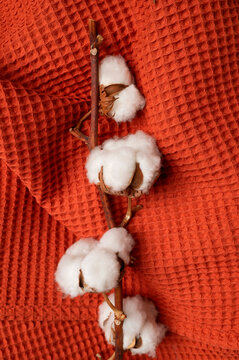 Cotton branch on bright red and orange waffle fabric, top view. Concept of natural eco-friendly textiles, like texture of blanket or towel. Beautiful, cozy autumn background with cotton.