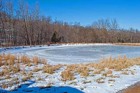 Brown trees surrond frozen white pond