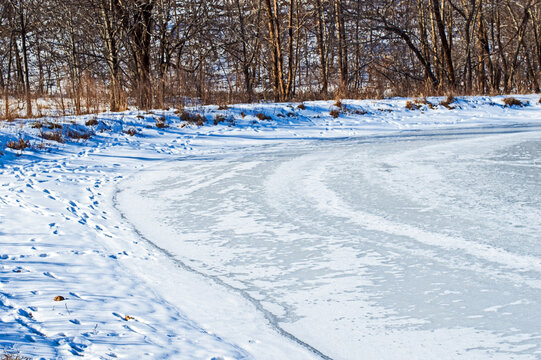 Frozen pond closeup with animal tracks