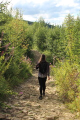 walking in the woods © Patryk_001