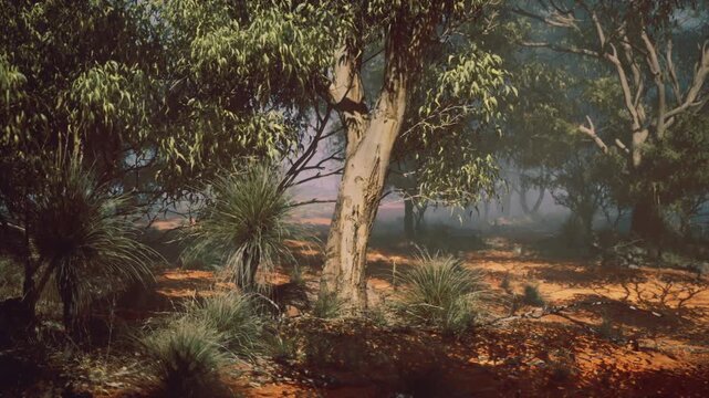 Misty grove with textured tree bark, soft haze wraps trunks and underbrush, cool twilight tones and subtle silhouettes create mysterious mood for nature