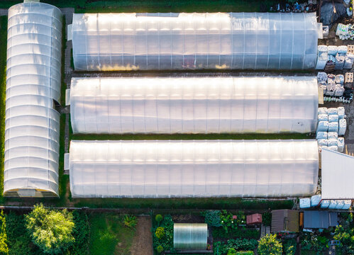 Aerial view of multiple arched greenhouses in a garden setting with lush vegetation and small outbuildings in Gniew, Pomeranian Voivodeship, Poland.