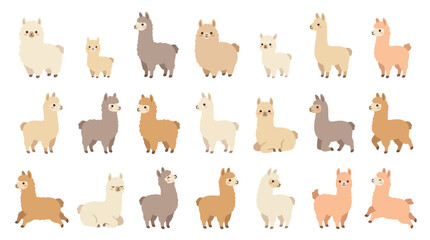 Naklejka premium Set of cute cartoon llama characters in various poses and colors isolated on white background.