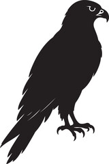 Fototapeta premium Falcon Silhouette Black Vector Bird Icon