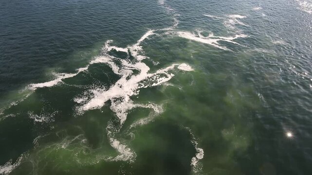 Turbulent green algae water mixing in the ocean
