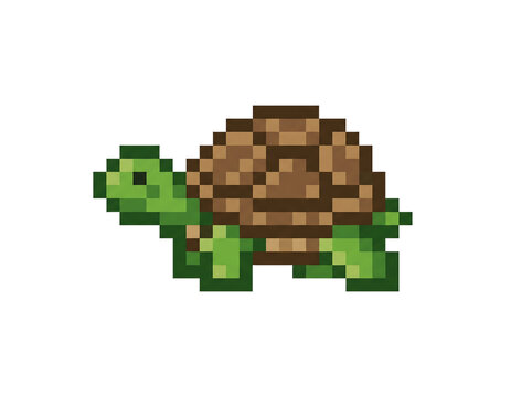 pixel art of turtle or tortoise