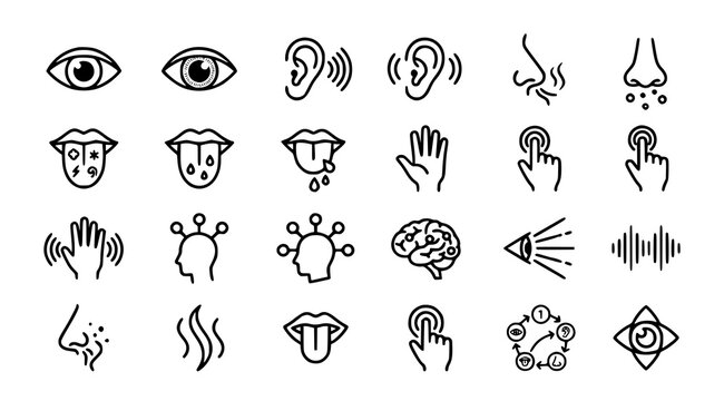 Human sensory perception icon collection for five senses sight hearing smell taste and touch vector design