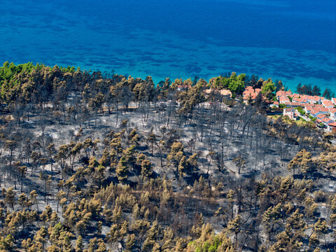 Siviri, Greece - 18 August 2026: Aerial view of the aftermath of a forest fire showing scorched trees and blackened ground near the coastline and residential buildings.