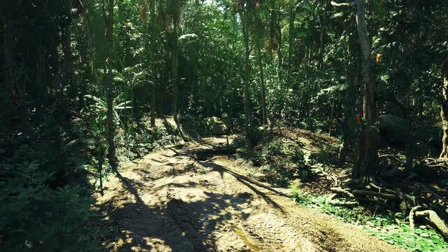 Secluded woodland path ideal for quiet reflection, filtered light, soft ground, enveloping foliage creating private retreat vibe for mindfulness, wellness
