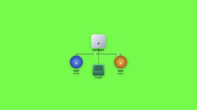 Computer Network Infrastructure Animation Showing Gateway VLAN and SSID Connections on Green Screen