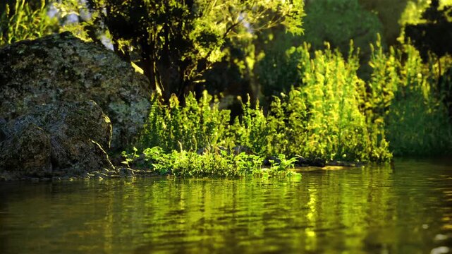 Detailed water surface with shimmering highlights and emergent greenery, tactile textures and close framing that suit product textures, background overlays
