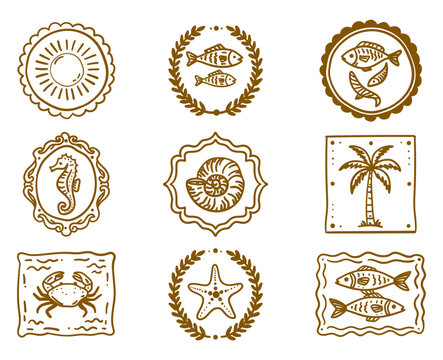 Hand drawn nautical and marine icons, sea life elements