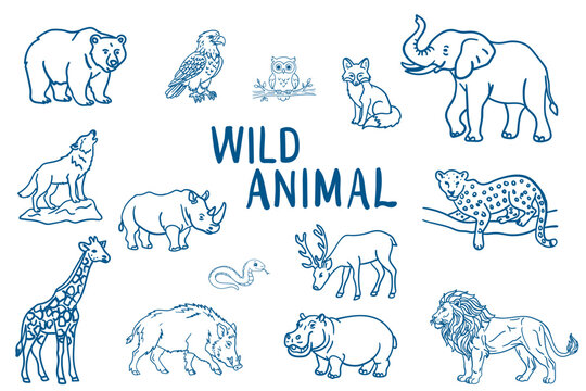 Set of wild animals, hand drawn vector illustration