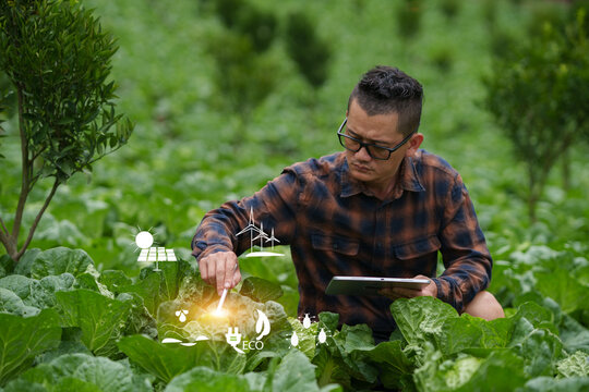Asian Farmer Inspecting Crops in Vegetable Field Using Smart Farming Technology and Stylus Pen