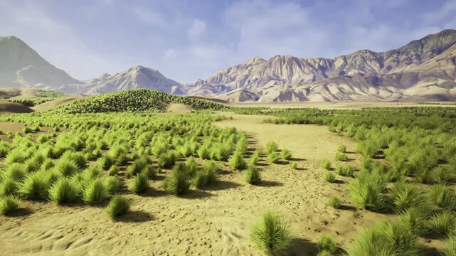 sunlit shrubland beneath distant mountains, ideal setting for mindfulness retreat and outdoor meditation with quiet atmosphere and expansive views, gentle