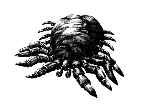 Hand-drawn creepy multi-legged bug monster creature, dark fantasy horror insect sketch illustration.