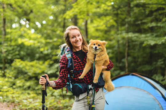 nice female hiker with tent, and dog on summer
