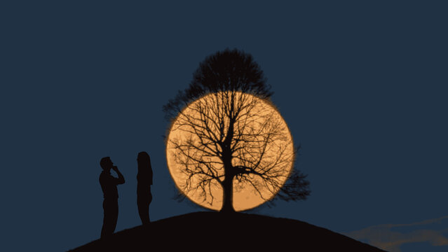 moon and the tree