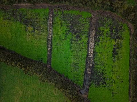 Aerial view of Monbulk Creek winding through vibrant green agricultural fields bordered by dense rows of trees in Lysterfield, Victoria, Australia.