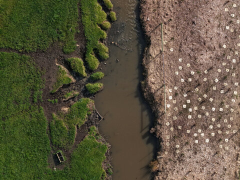 Aerial view of Monbulk Creek flowing through a landscape with lush green grass on one side and a cleared area with protective tree guards on the other in Lysterfield, Victoria, Australia.